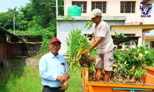 A man lifting bundles of saplings from an orange cargo vehicle beside a building