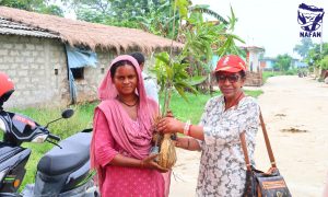 A woman in a pink shawl receiving a mango sapling from a visitor on a village lane