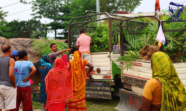 Villagers gathered around a truck laden with saplings on a dirt lane