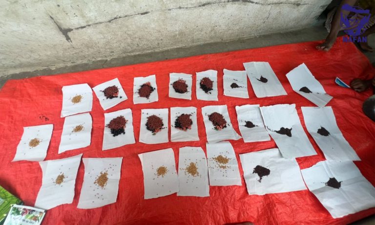 Small portions of seed arranged in rows on white paper on a red mat